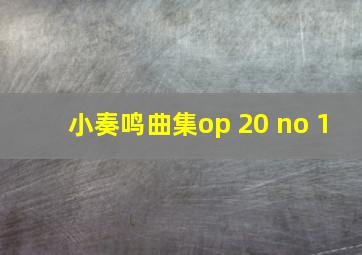 小奏鸣曲集op 20 no 1